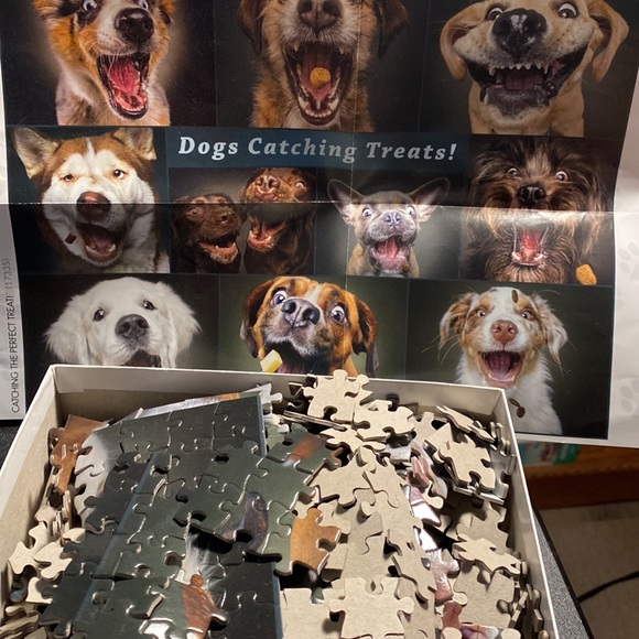 750 piece puzzle. Dog Days 🐾 - Picture 3 of 3